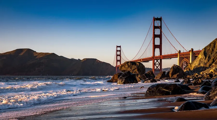 Best Time to Visit San Francisco: A Seasonal Guide Autumn scenery in a San Francisco park