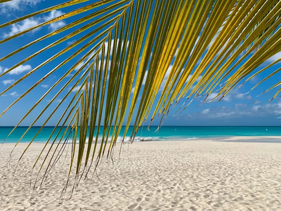 Quiet Jamaican beach during the off-peak travel season