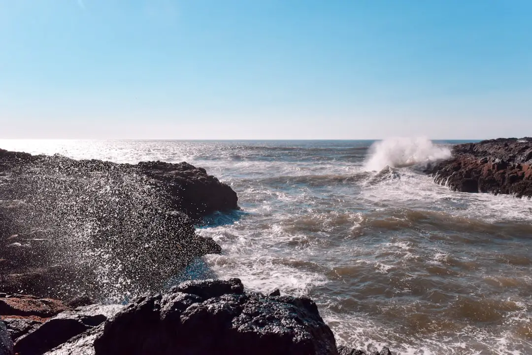 Photo Oregon coast USA
