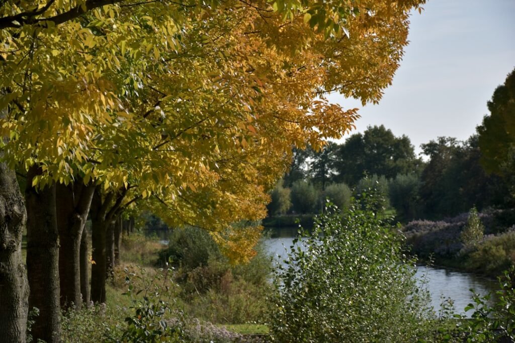 Photo Lush landscapes