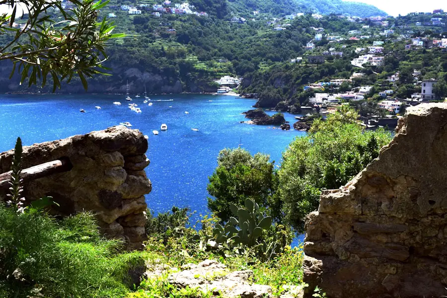 Photo Mallorca Spain island