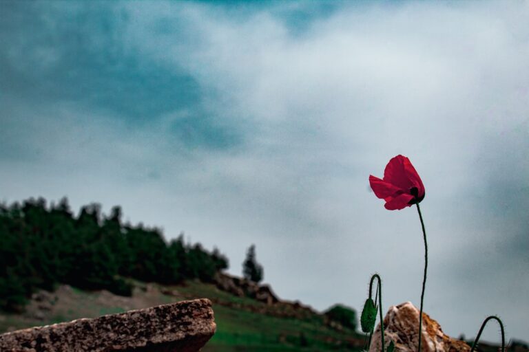 Photo Turkish landscape