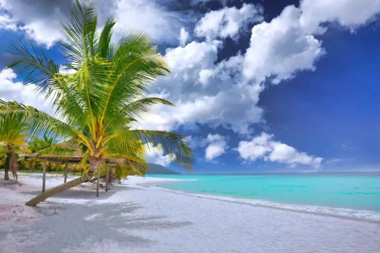 Photo Tropical paradise