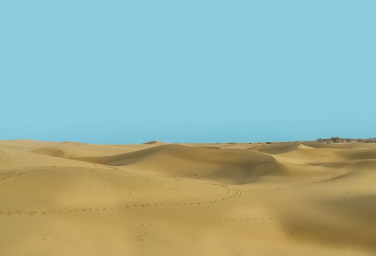 Photo Sunny desert