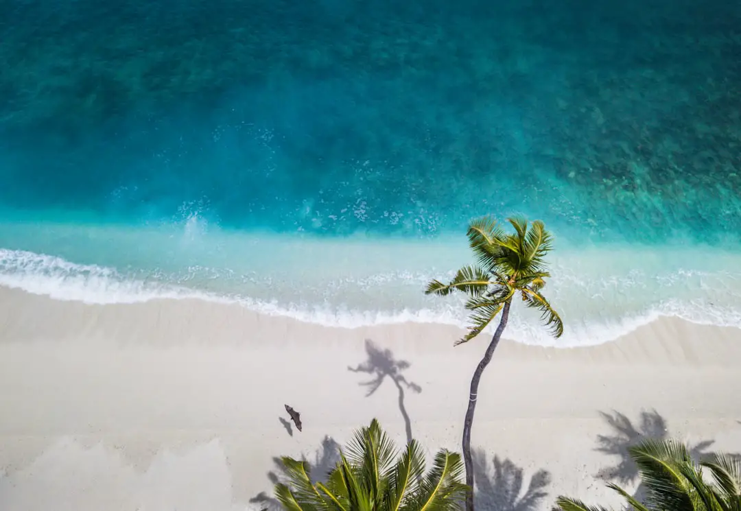 Photo Tropical beach