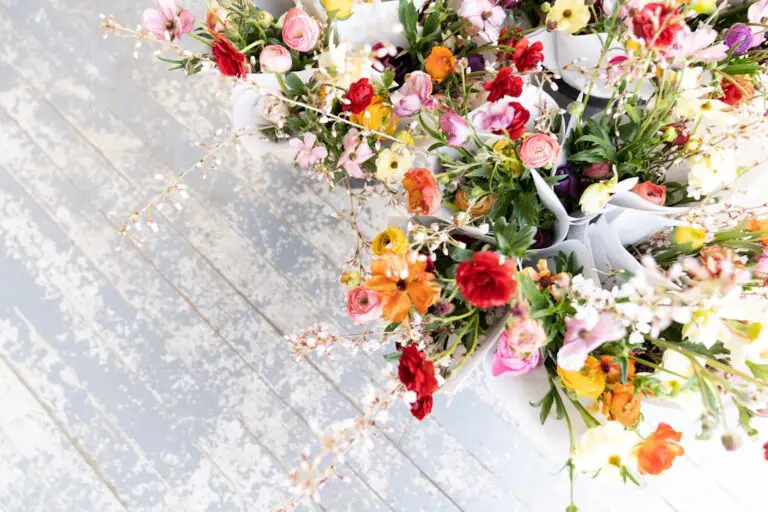 Photo Spring flowers