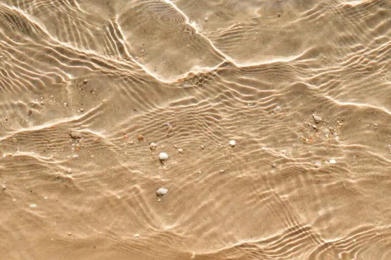 Photo Sandy beach