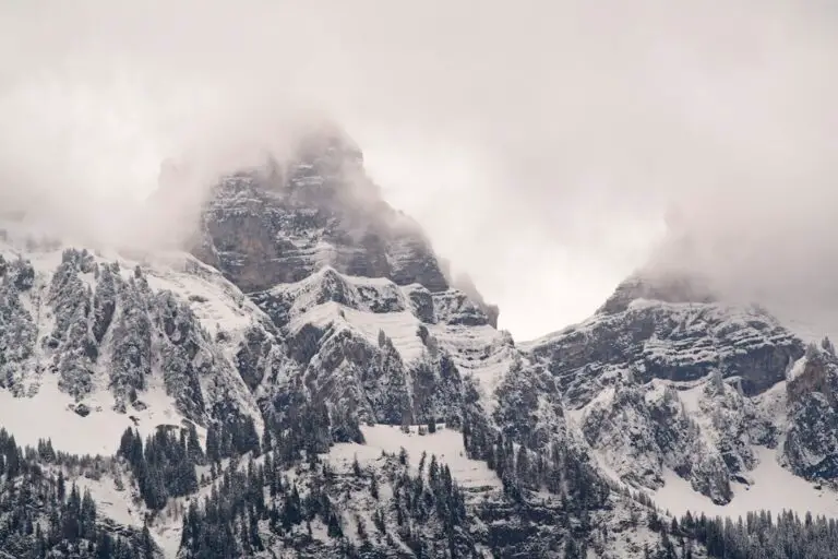 Photo Peak season