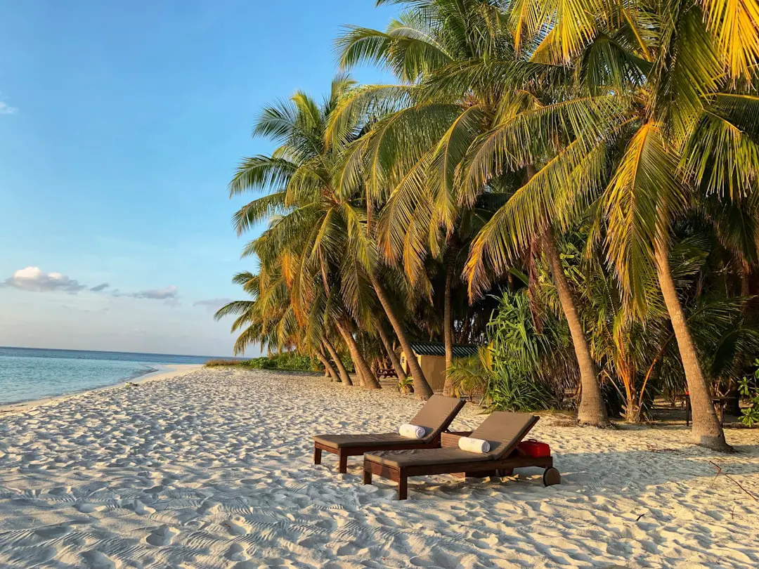 Photo Tropical beach