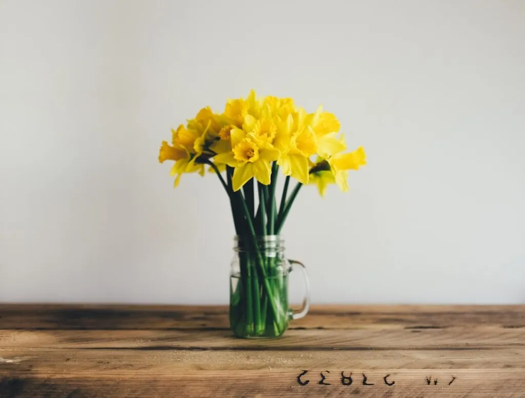 Photo Spring flowers