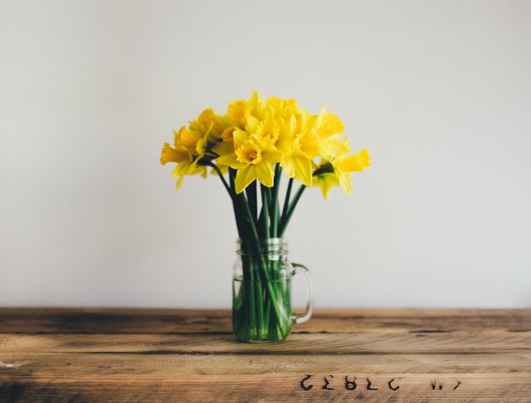 Photo Spring flowers