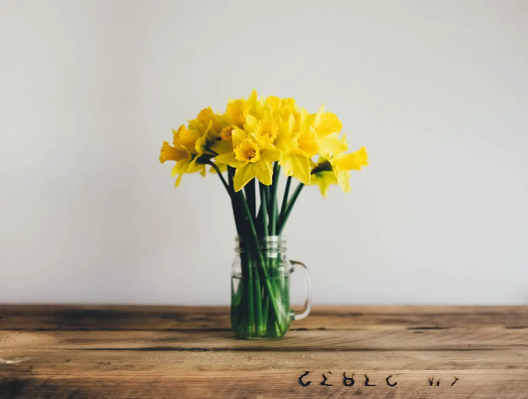 Photo Spring flowers