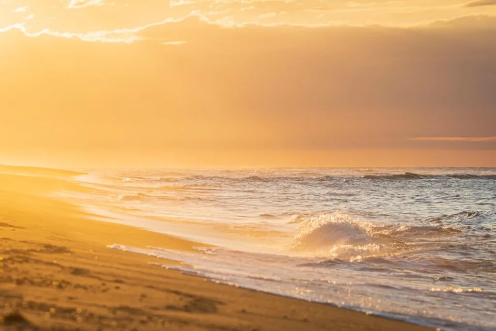 Best Time to Travel to Florida: A Seasonal Guide Photo Sunny Beach