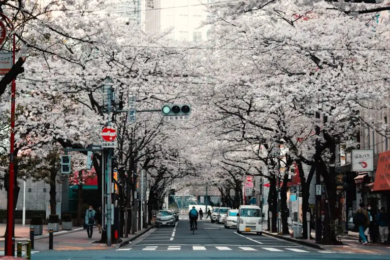 Photo Tokyo city Japan