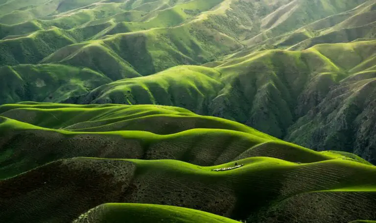 Photo Green landscapes