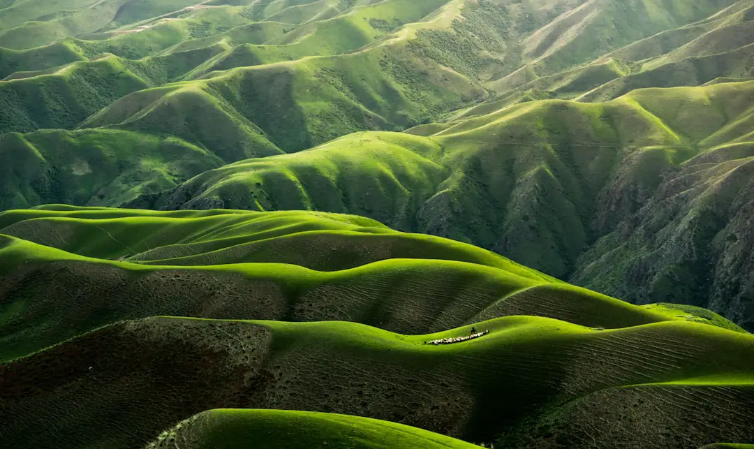 Photo Green landscapes
