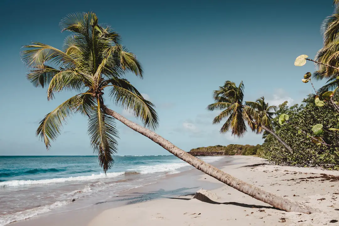Photo Beach paradise