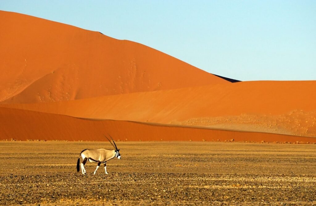 Photo Namib Desert