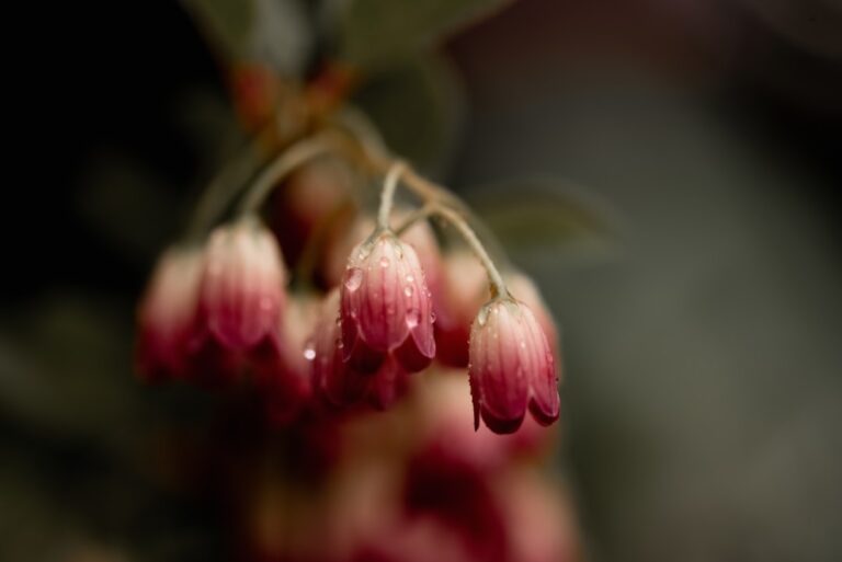 Photo Seasonal calendar