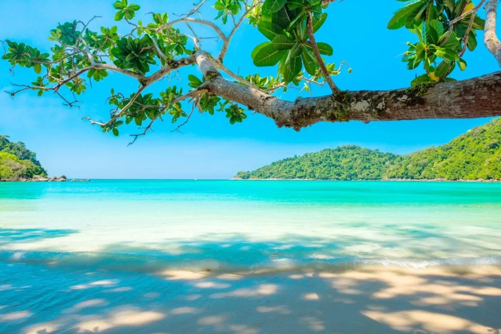 Best Time to Travel to Kauai: A Seasonal Guide Photo Tropical beach