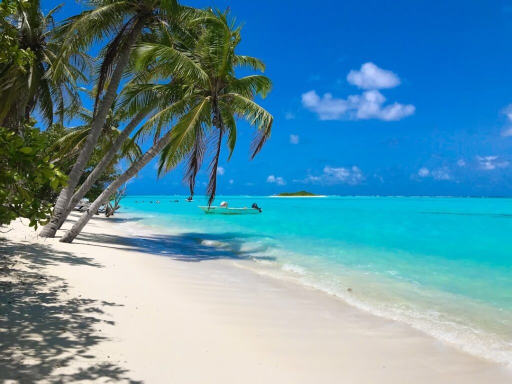 Photo Tropical beach