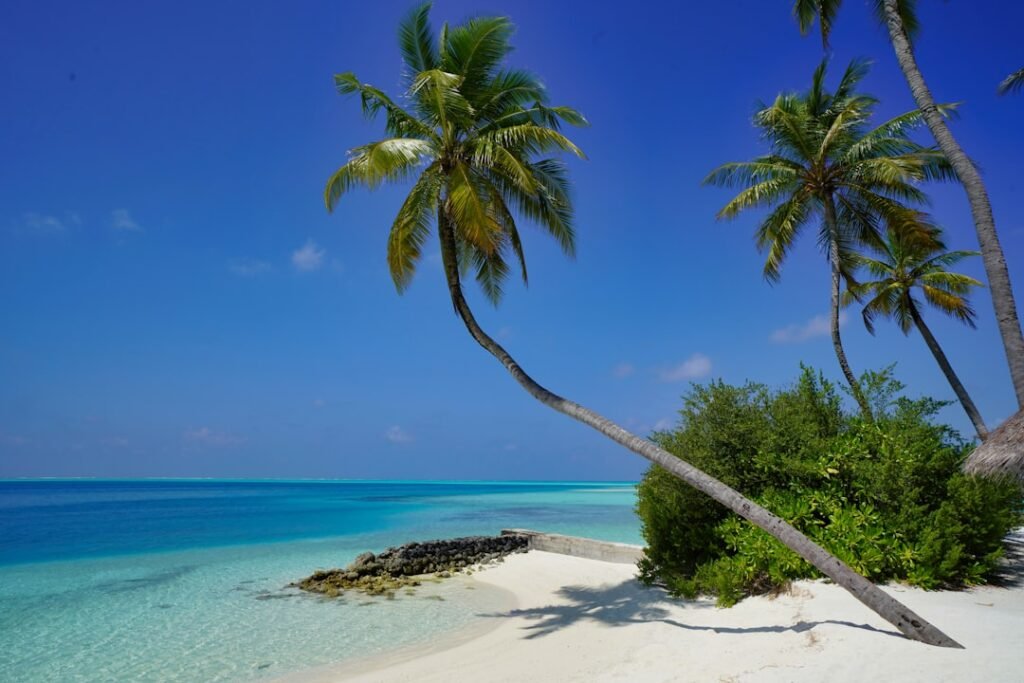 Photo Tropical paradise