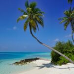Photo Tropical paradise
