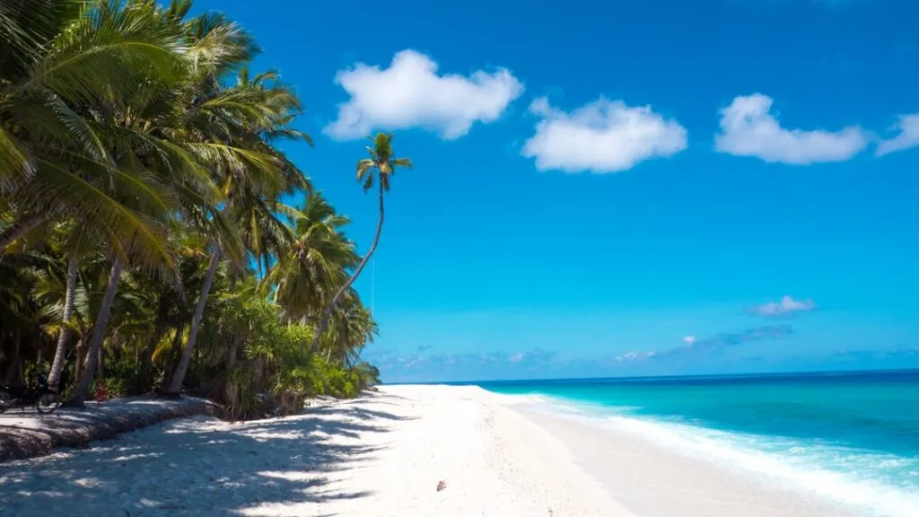 Photo Tropical beach