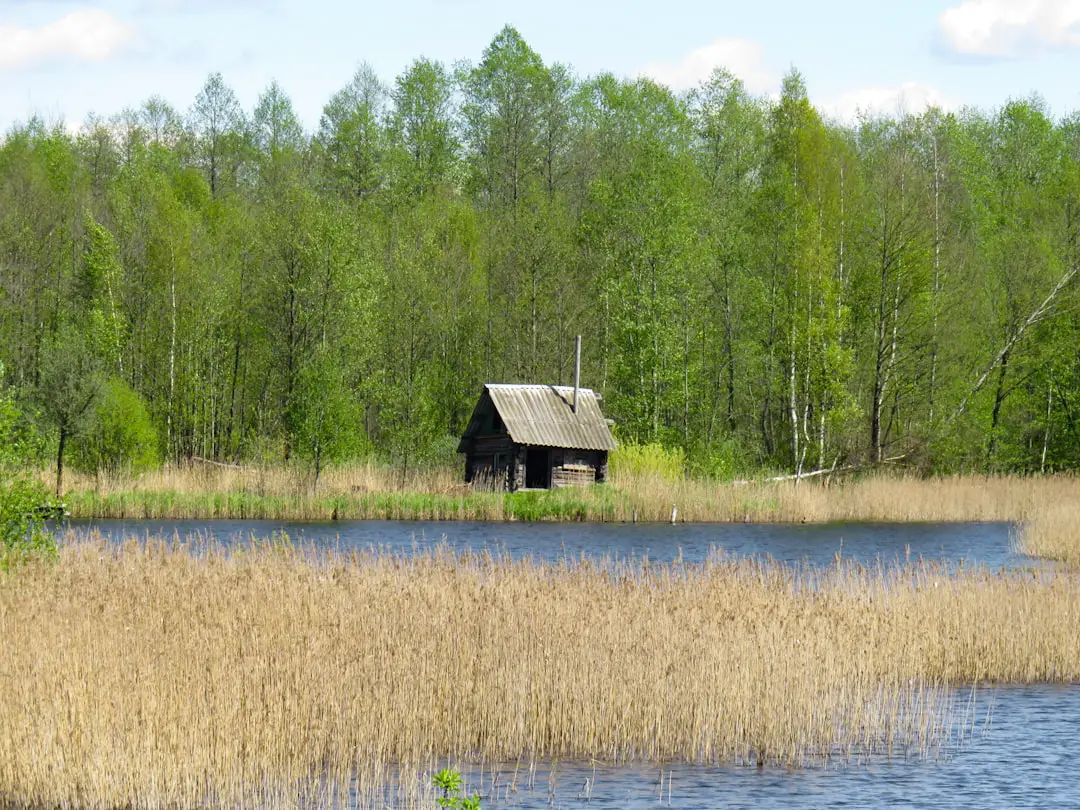 Photo Spring landscape