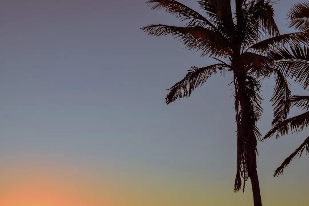 Photo Mazatlan beach Mexico