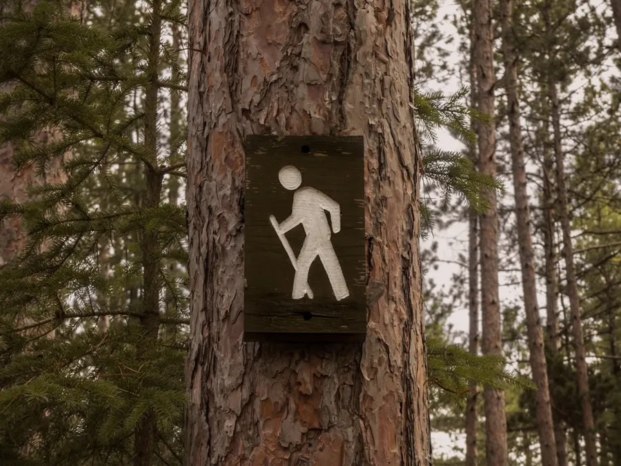 Exploring the Great Outdoors: The Art of Hiking Wooden hiking trail marker on a tree in a forest
