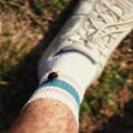Photo "how to prevent ticks when hiking"