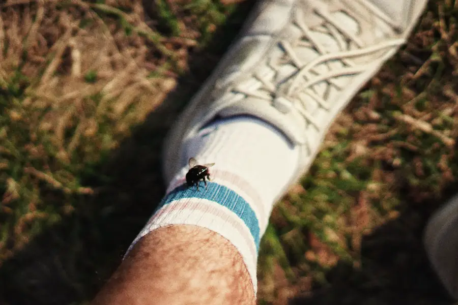 Photo "how to prevent ticks when hiking"