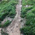 Photo "should hiking shoes be tight or loose"