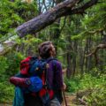 Photo "how to choose a hiking backpack"