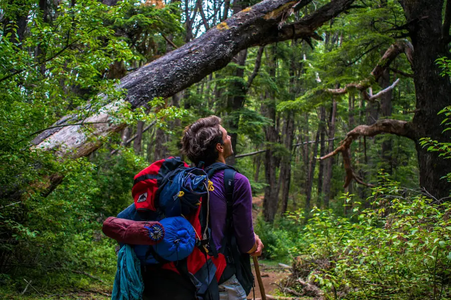 Photo "how to choose a hiking backpack"