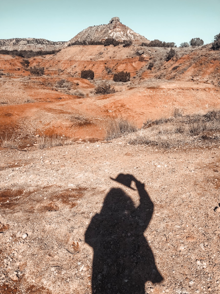 Photo "Can I take my gun hiking in California?"
