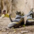 Photo "What is the best hiking shoe?"