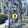 Photo "is hiking alone safe"