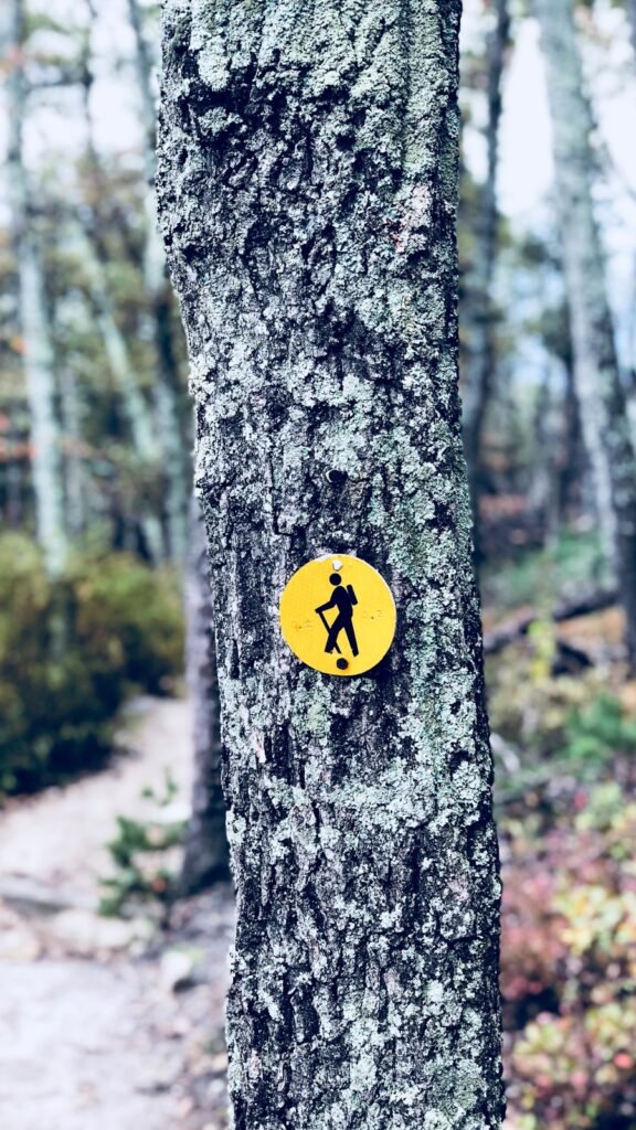 Photo "is hiking alone safe"
