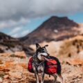 Photo What should I bring hiking?