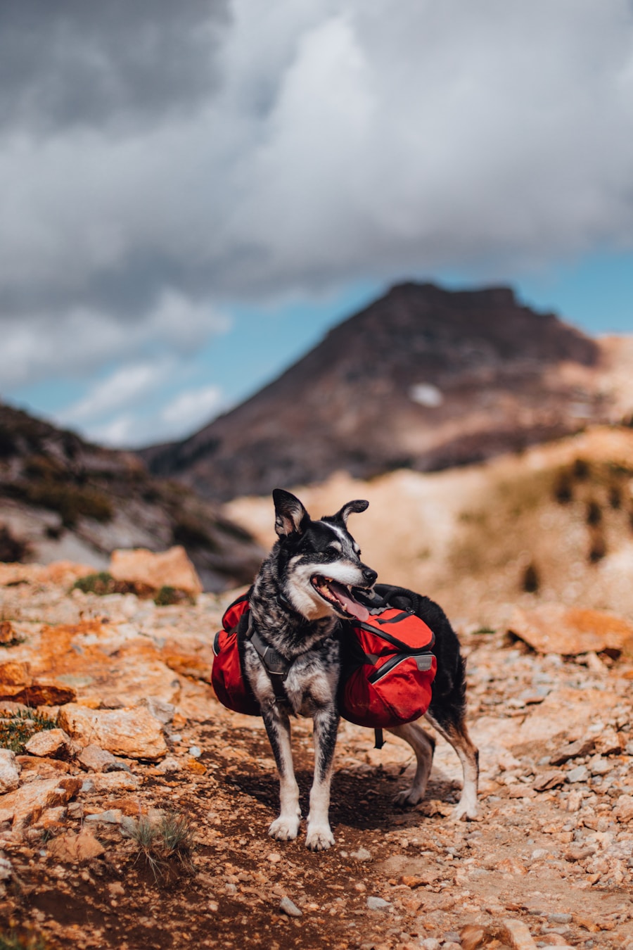 Photo What should I bring hiking?