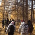 Photo "is ost hiking and outdoors legit"