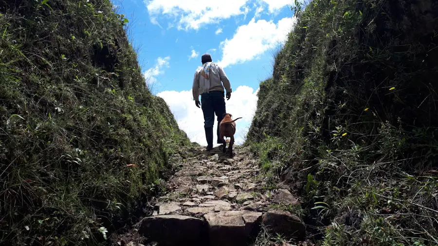 Photo What is the longest hiking-only trail in the world?