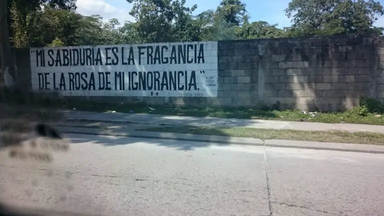 Photo "qué significa hacer senderismo"