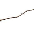 Photo "how tall should hiking sticks be"