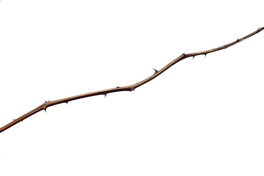 Photo "how tall should hiking sticks be"