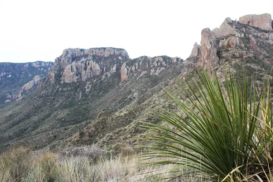 Photo "where to stay when hiking Guadalupe Peak"
