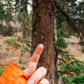 Photo "Why do your fingers swell when hiking?"
