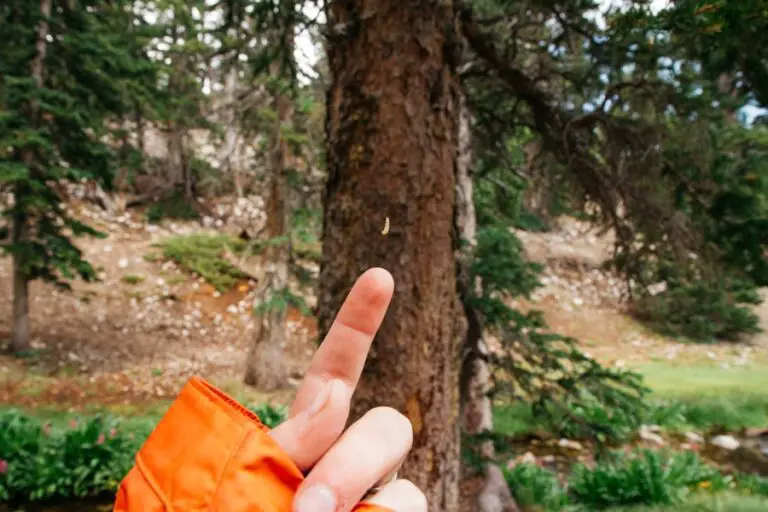 Photo "Why do your fingers swell when hiking?"